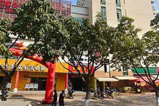 小白羊西环南路超市 珠宝首饰选购指南